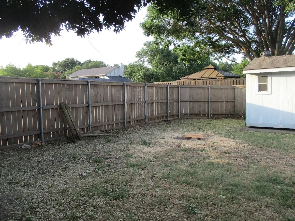Cleared yard after professional tree removal in West New York